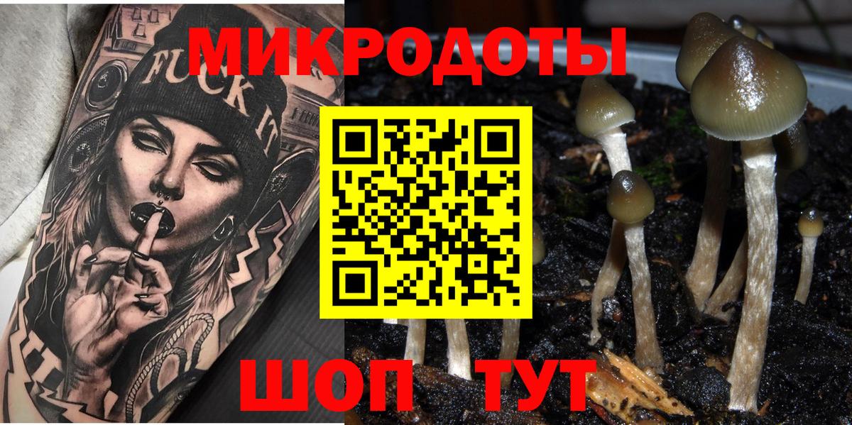Камень-на-Оби  купить наркотик  Вход с VPN  Галлюциногенные грибы MAGIC MUSHROOMS 